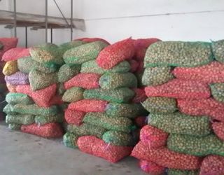 Садівничі господарства об’єднуватимуть для створення експортних партій волоського горіха
